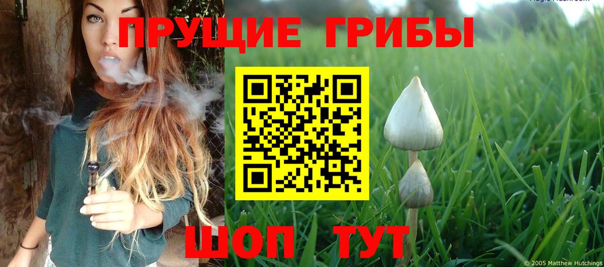 Галлюциногенные грибы MAGIC MUSHROOMS Усть-Илимск