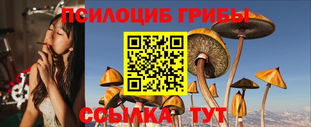 Галлюциногенные грибы прущие грибы Усть-Илимск