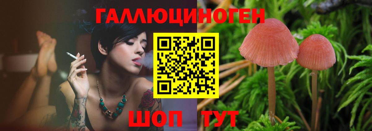 Псилоцибиновые грибы мухоморы  Галлюциногенные грибы GOLDEN TEACHER  Усть-Илимск 