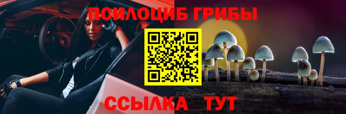 Галлюциногенные грибы Magic Shrooms  Вход с VPN  Усть-Илимск 